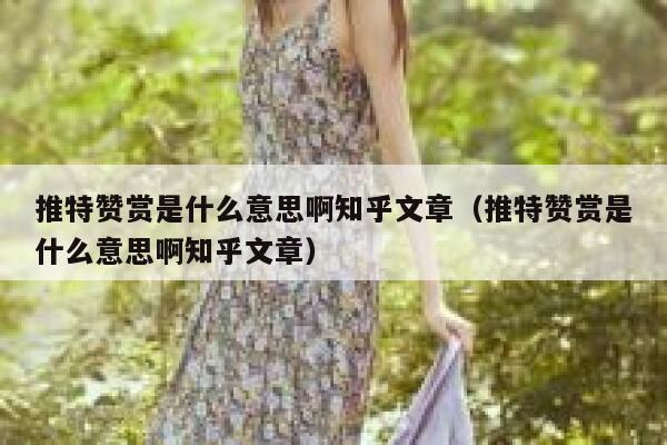 推特赞赏是什么意思啊知乎文章（推特赞赏是什么意思啊知乎文章） 第1张