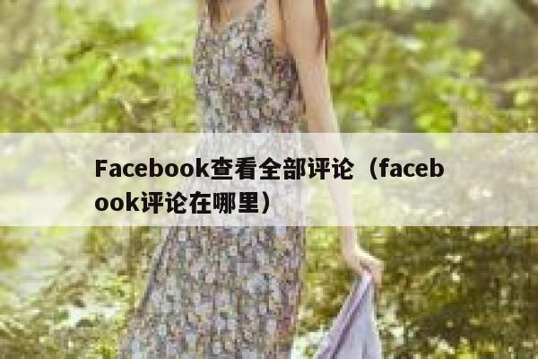 Facebook查看全部评论（facebook评论在哪里） 第1张