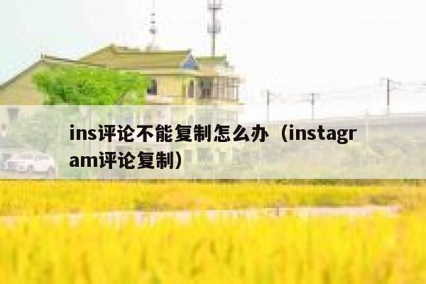 ins评论不能复制怎么办（instagram评论复制） 第1张