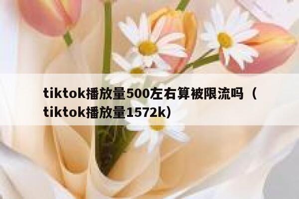 tiktok播放量500左右算被限流吗（tiktok播放量1572k） 第1张
