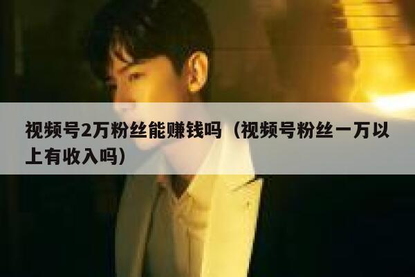 视频号2万粉丝能赚钱吗（视频号粉丝一万以上有收入吗） 第1张