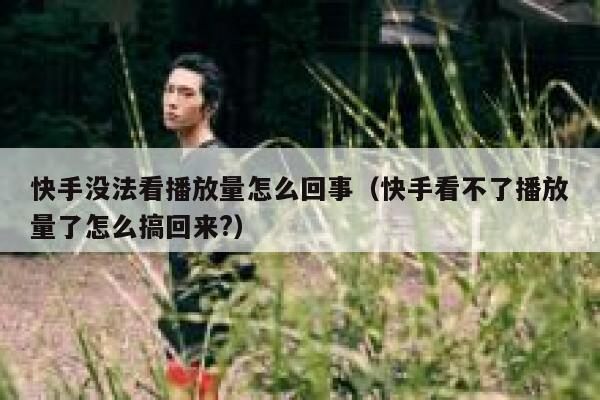 快手没法看播放量怎么回事（快手看不了播放量了怎么搞回来?） 第1张