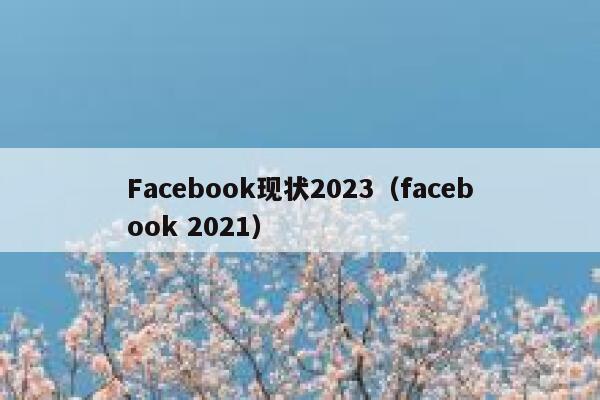 Facebook现状2023（facebook 2021） 第1张
