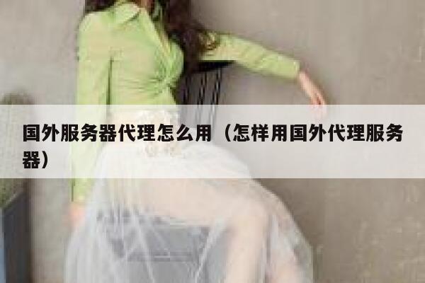 国外服务器代理怎么用（怎样用国外代理服务器） 第1张