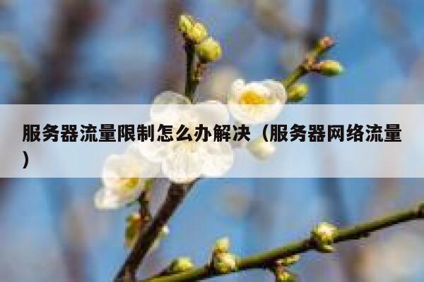 服务器流量限制怎么办解决（服务器网络流量） 第1张