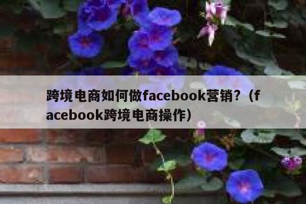 跨境电商如何做facebook营销?（facebook跨境电商操作） 第1张