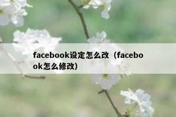 facebook设定怎么改（facebook怎么修改） 第1张