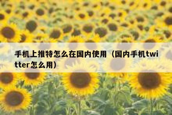 手机上推特怎么在国内使用（国内手机twitter怎么用） 第1张