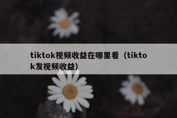 tiktok视频收益在哪里看（tiktok发视频收益） 第1张
