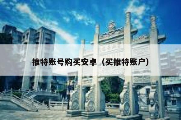 推特账号购买安卓（买推特账户） 第1张