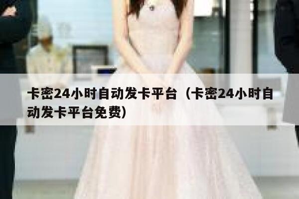 卡密24小时自动发卡平台（卡密24小时自动发卡平台免费） 第1张