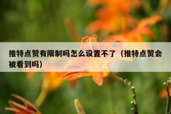 推特点赞有限制吗怎么设置不了（推特点赞会被看到吗） 第1张
