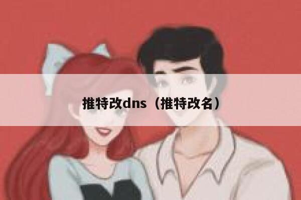 推特改dns（推特改名） 第1张