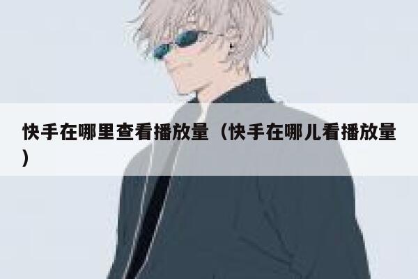 快手在哪里查看播放量（快手在哪儿看播放量） 第1张