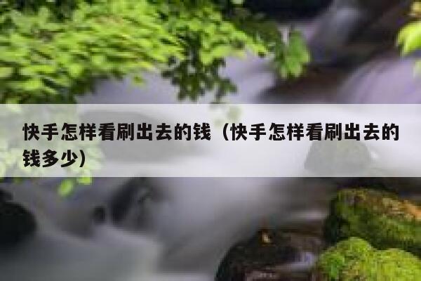 快手怎样看刷出去的钱（快手怎样看刷出去的钱多少） 第1张