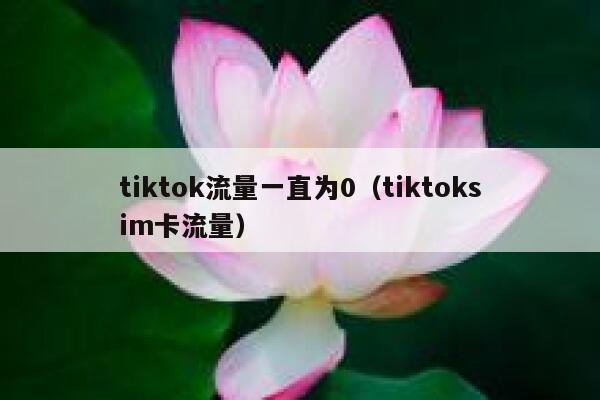 tiktok流量一直为0（tiktoksim卡流量） 第1张