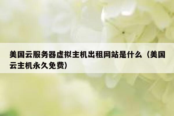 美国云服务器虚拟主机出租网站是什么（美国云主机永久免费） 第1张