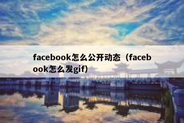 facebook怎么公开动态（facebook怎么发gif） 第1张