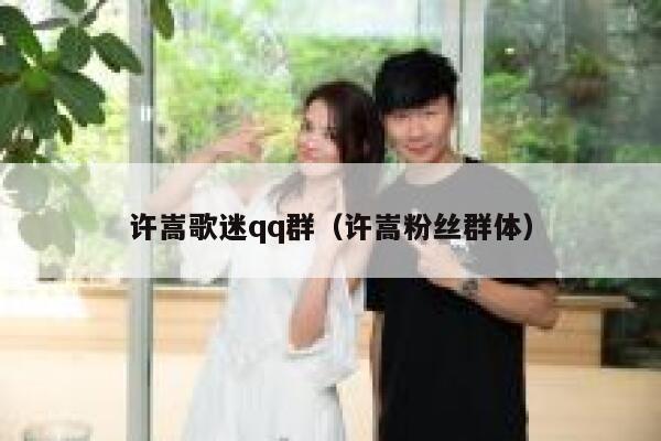 许嵩歌迷qq群（许嵩粉丝群体） 第1张