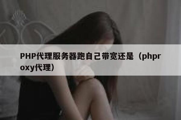 PHP代理服务器跑自己带宽还是（phproxy代理） 第1张