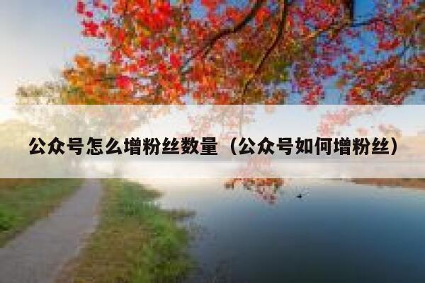 公众号怎么增粉丝数量（公众号如何增粉丝） 第1张