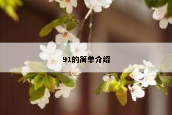 91的简单介绍 第1张