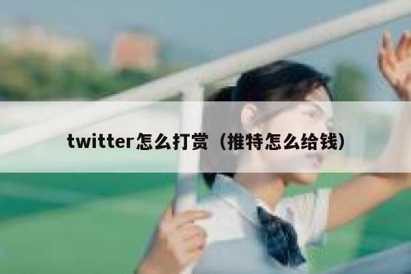 twitter怎么打赏（推特怎么给钱） 第1张