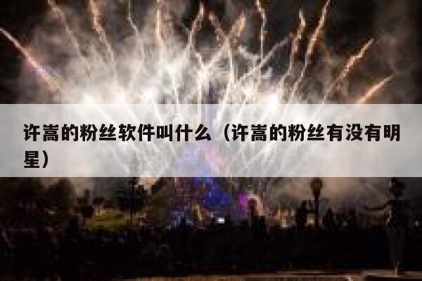 许嵩的粉丝软件叫什么（许嵩的粉丝有没有明星） 第1张