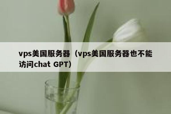 vps美国服务器（vps美国服务器也不能访问chat GPT） 第1张