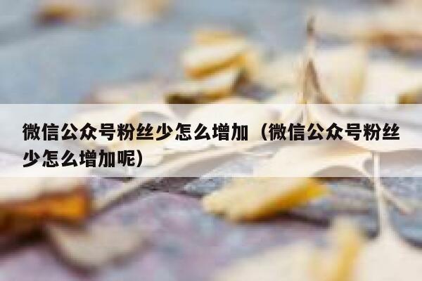 微信公众号粉丝少怎么增加（微信公众号粉丝少怎么增加呢） 第1张
