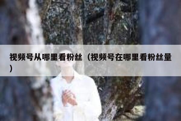 视频号从哪里看粉丝（视频号在哪里看粉丝量） 第1张