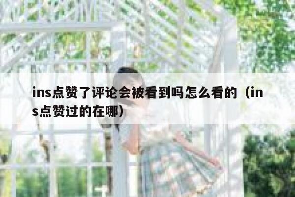 ins点赞了评论会被看到吗怎么看的（ins点赞过的在哪） 第1张