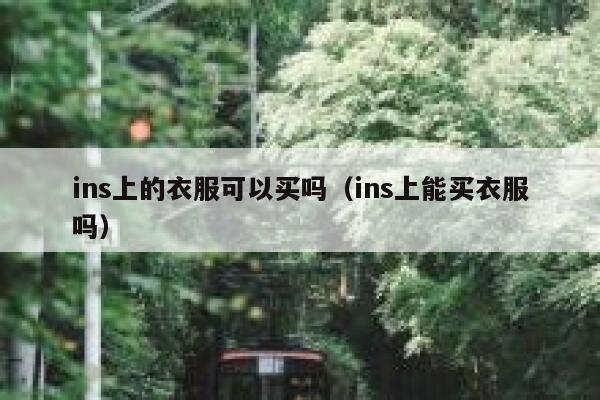 ins上的衣服可以买吗（ins上能买衣服吗） 第1张
