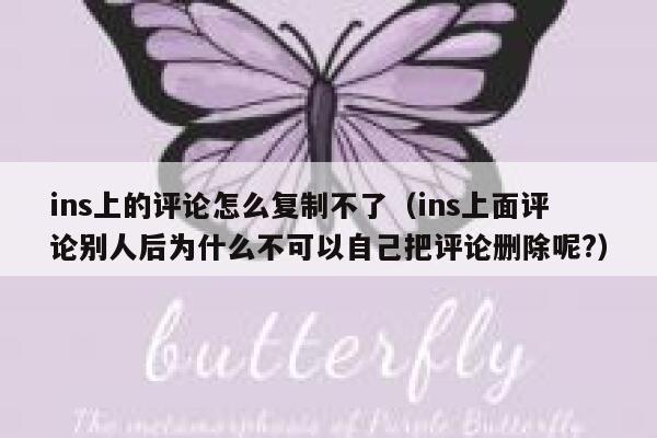 ins上的评论怎么复制不了（ins上面评论别人后为什么不可以自己把评论删除呢?） 第1张