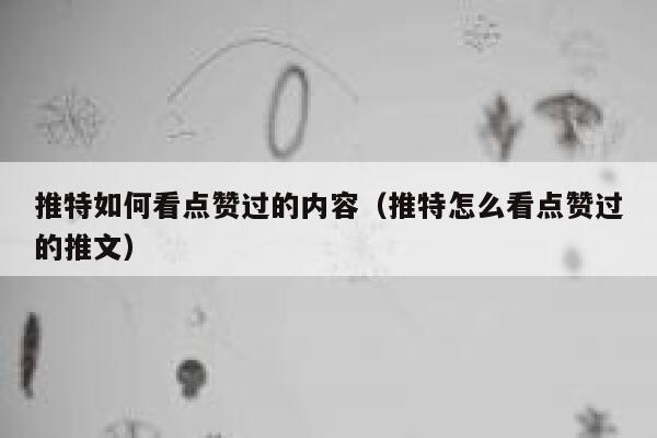 推特如何看点赞过的内容（推特怎么看点赞过的推文） 第1张