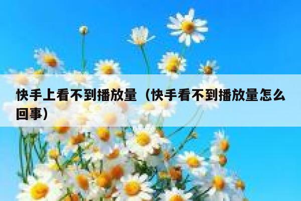 快手上看不到播放量（快手看不到播放量怎么回事） 第1张