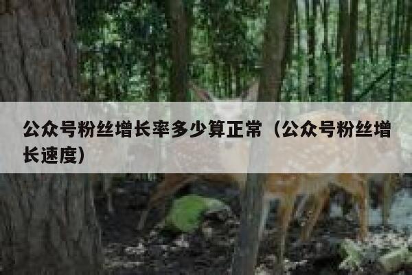 公众号粉丝增长率多少算正常（公众号粉丝增长速度） 第1张