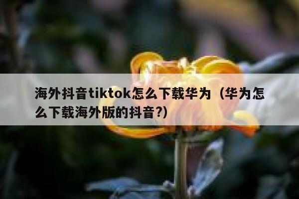 海外抖音tiktok怎么下载华为（华为怎么下载海外版的抖音?） 第1张