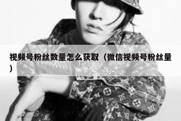 视频号粉丝数量怎么获取（微信视频号粉丝量） 第1张
