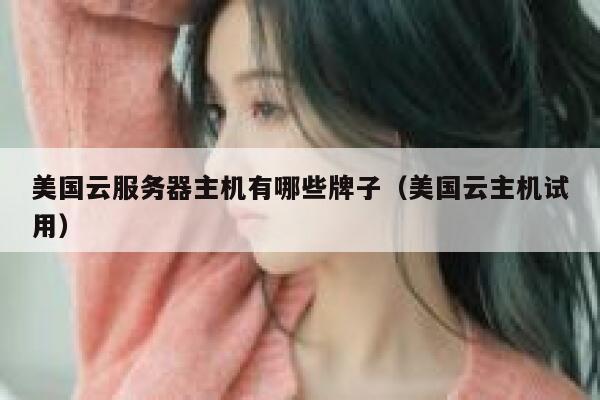 美国云服务器主机有哪些牌子（美国云主机试用） 第1张