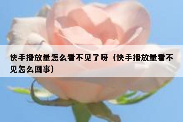 快手播放量怎么看不见了呀（快手播放量看不见怎么回事） 第1张