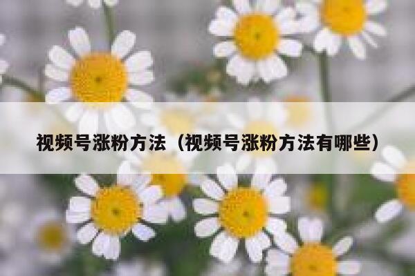 视频号涨粉方法（视频号涨粉方法有哪些） 第1张
