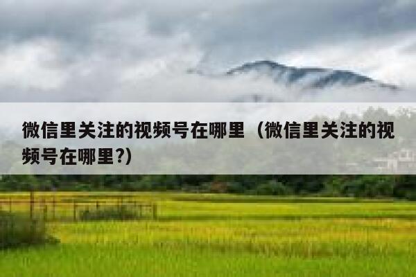 微信里关注的视频号在哪里（微信里关注的视频号在哪里?） 第1张