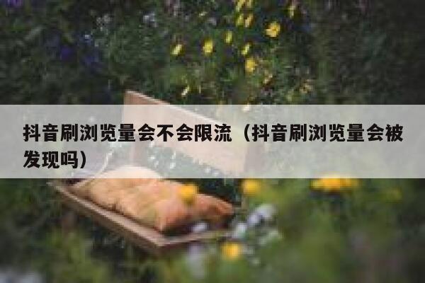 抖音刷浏览量会不会限流（抖音刷浏览量会被发现吗） 第1张