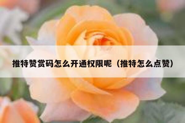 推特赞赏码怎么开通权限呢（推特怎么点赞） 第1张