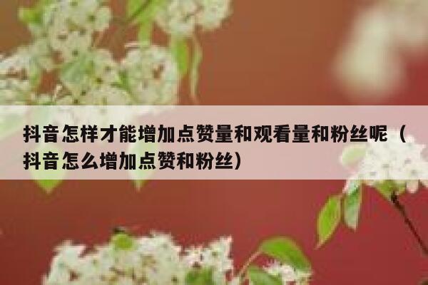 抖音怎样才能增加点赞量和观看量和粉丝呢（抖音怎么增加点赞和粉丝） 第1张