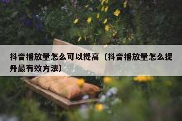 抖音播放量怎么可以提高（抖音播放量怎么提升最有效方法） 第1张