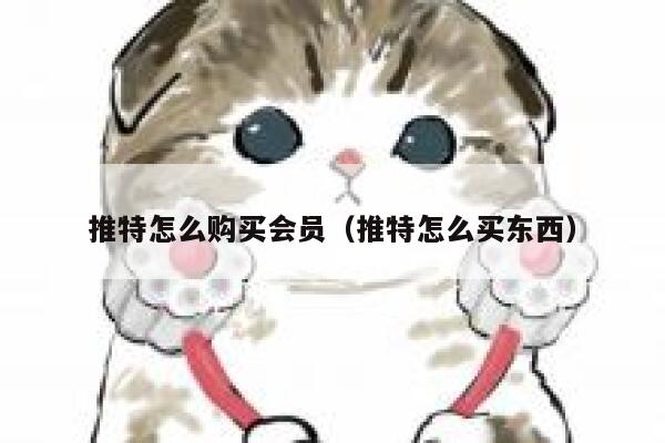 推特怎么购买会员（推特怎么买东西） 第1张