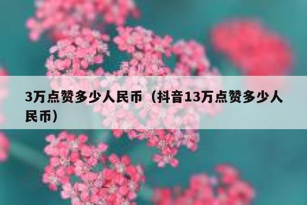 3万点赞多少人民币（抖音13万点赞多少人民币） 第1张