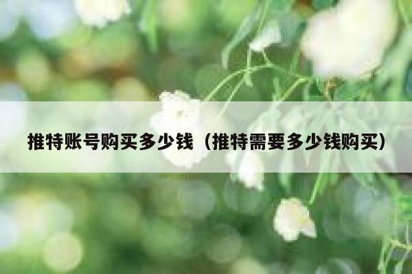 推特账号购买多少钱（推特需要多少钱购买） 第1张